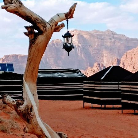 Desert Tree Camp&Tours Wadi Rum Bagian luar foto