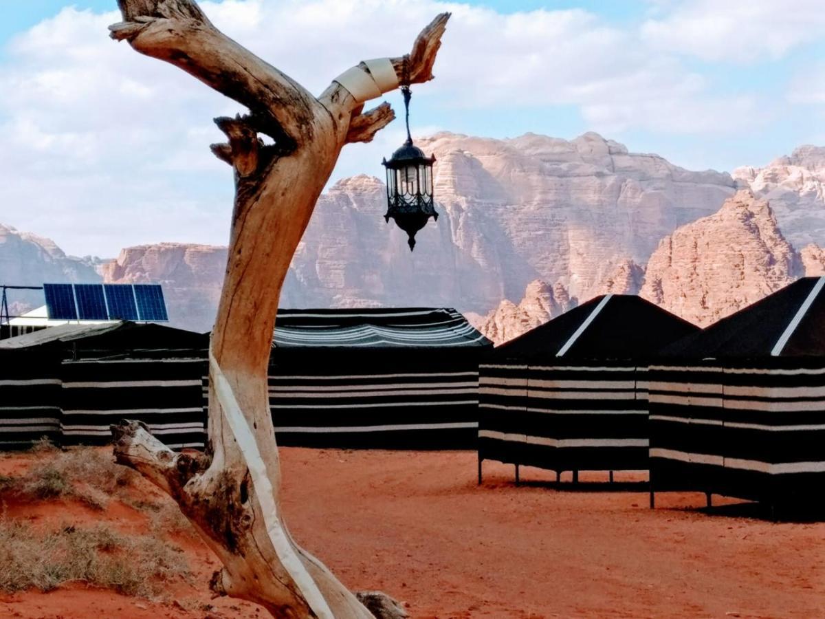 Desert Tree Camp&Tours Wadi Rum Bagian luar foto