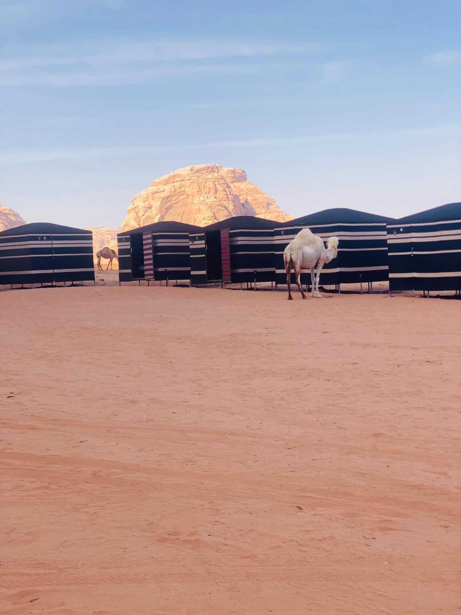 Desert Tree Camp&Tours Wadi Rum Bagian luar foto